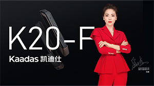 凱迪仕